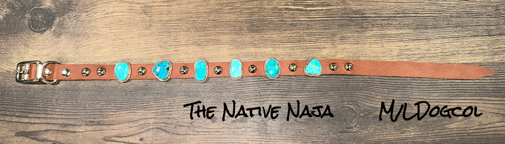 Navajo Daniel Martinez Sterling Silver & Genuine Turquoise Concho Dog Collar Size M/L M/LDOGCOL