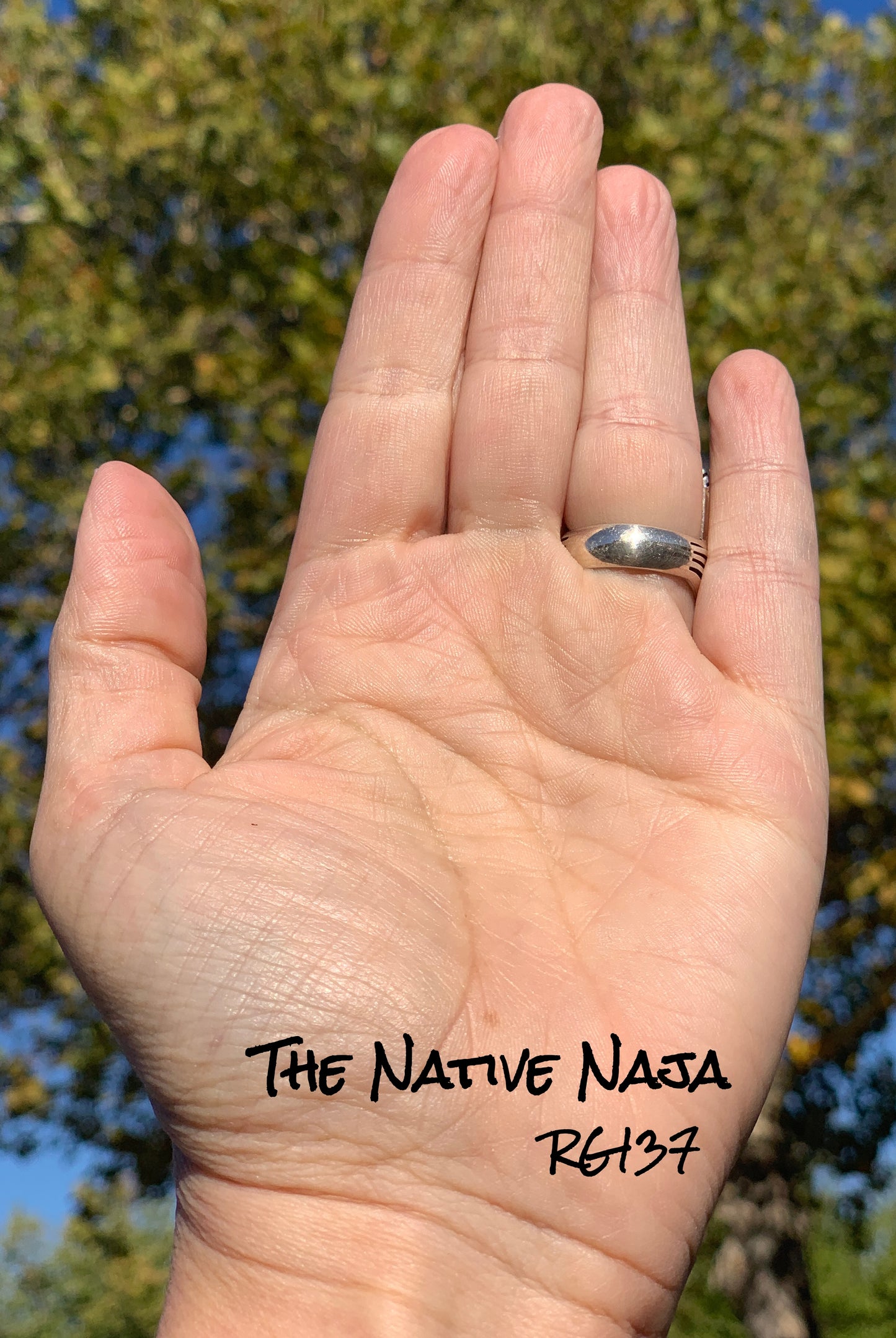 Large Navajo Eddie Secetaro Sterling Silver & Black Onyx Ring Size 7 RG137