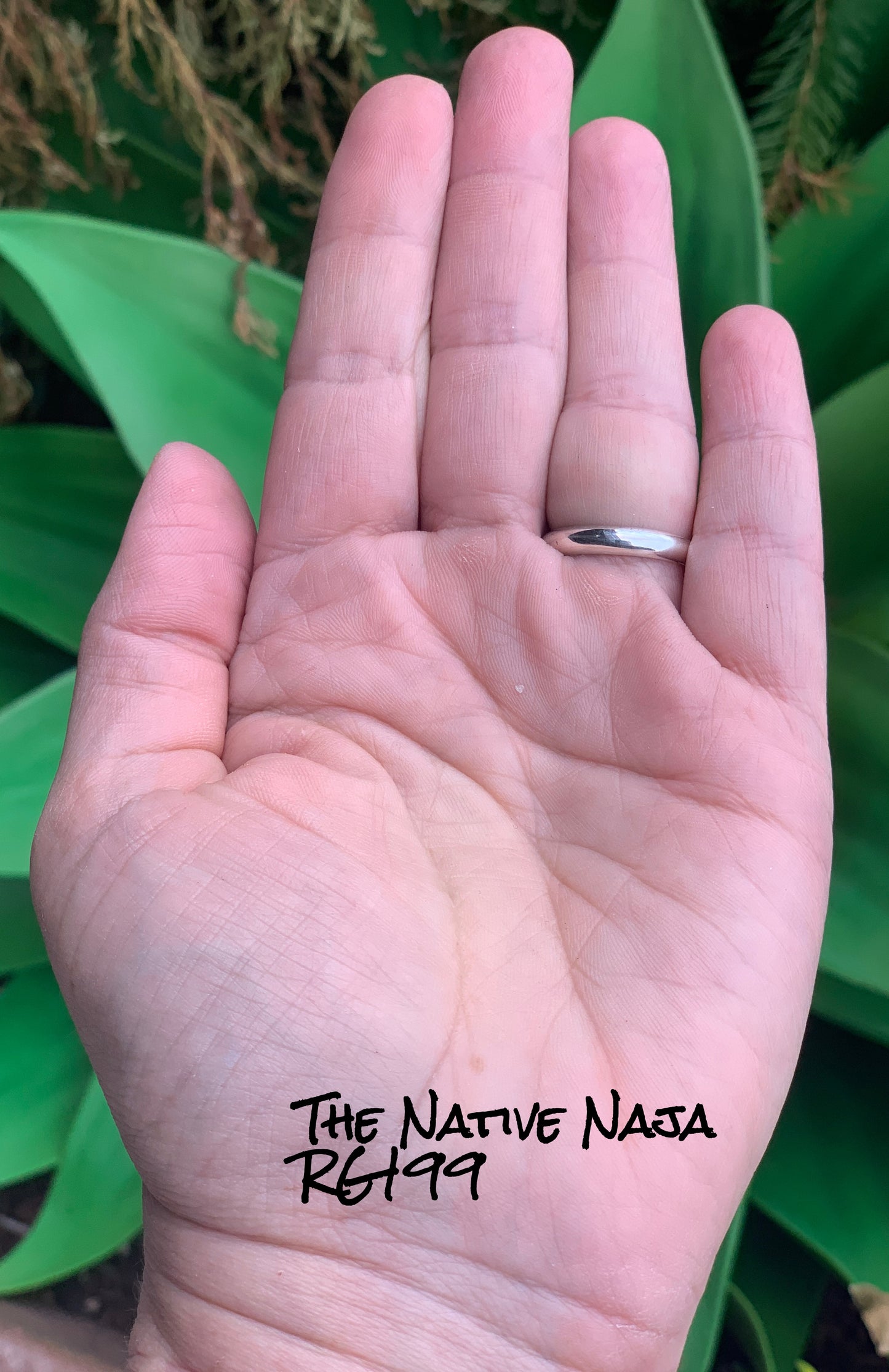 Chimney Butte Pink Queen Conch Shell & Sterling Silver Zia Ring Size 7 3/4 RG199