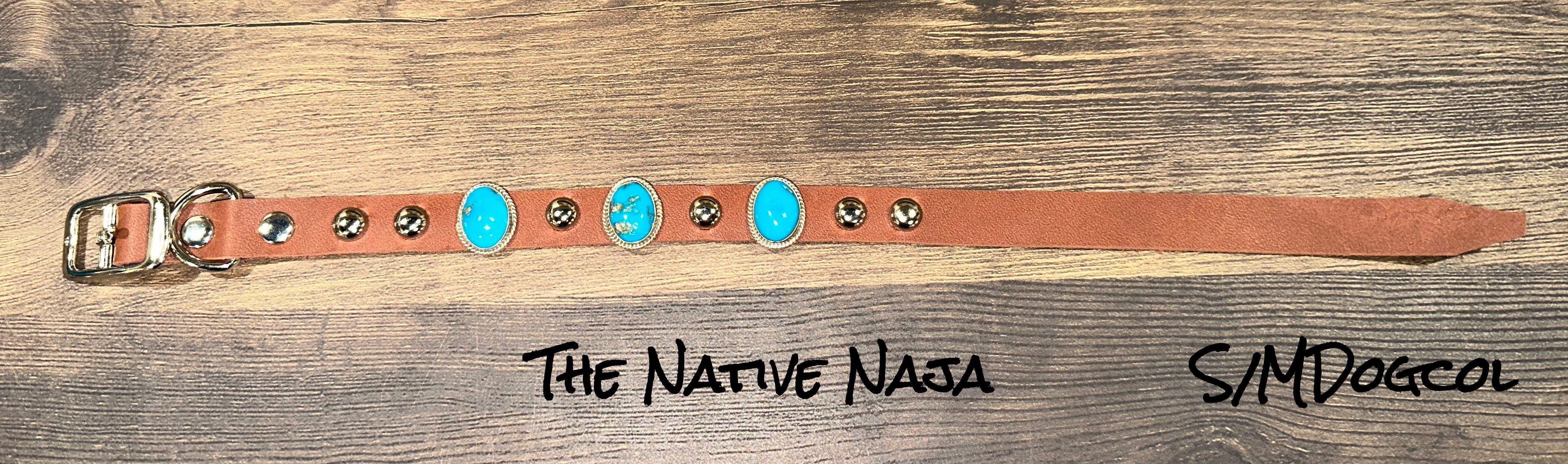 Navajo Daniel Martinez Sterling Silver & Turquoise Concho Dog Collar Size S/M S/MDogcol